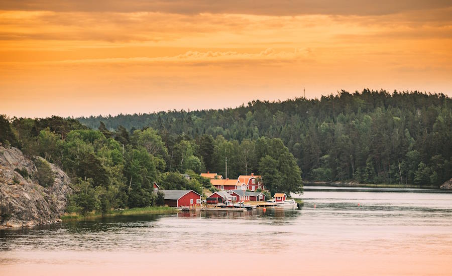 att köpa en fastighet kan ibland även innebära att man köper skog om detta nu skulle inkluderas i affären