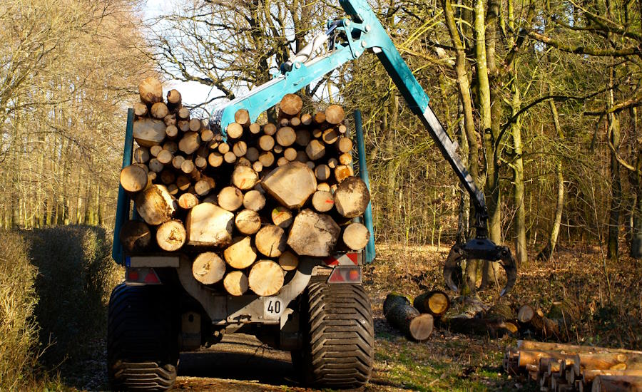 det är viktigt att skogen är planerad med ett nät av grusvägar så att man på ett enkelt och snabbt sätt ska kunna ta sig fram vid avverkning